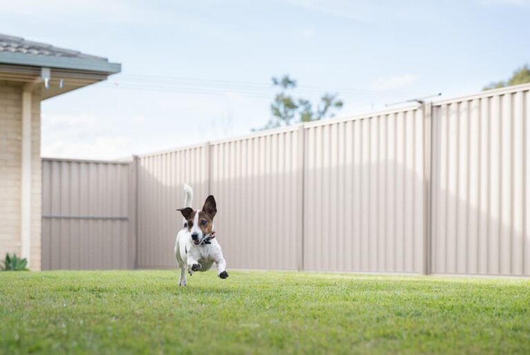 Best Smart Fencing for Pet Containment: The Definitive Pillar Guide